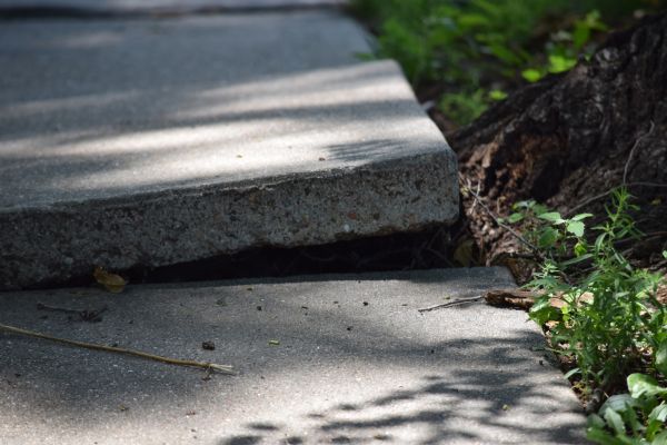 Cost of Concrete Lifting in Livonia